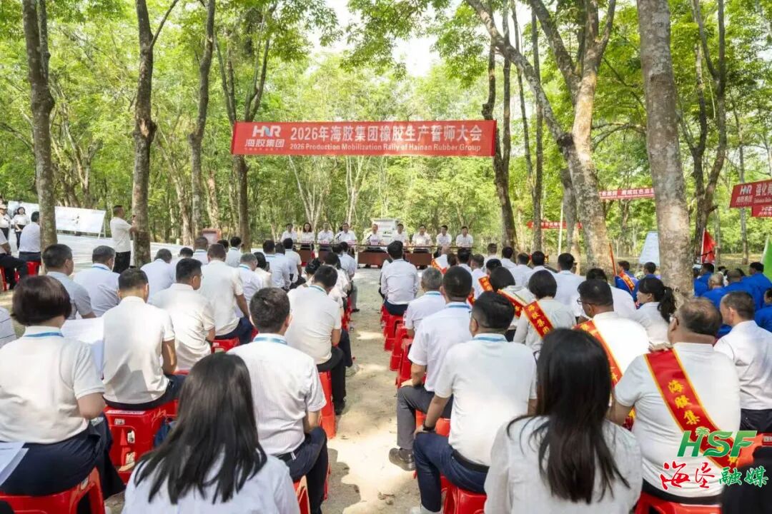 開割！膠林深處春潮涌